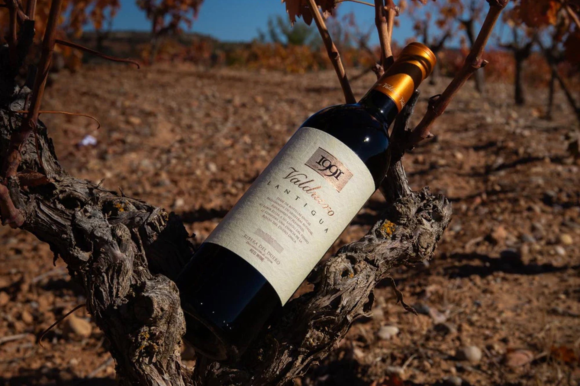 Vinos Caros de Lujo Ribera del Duero