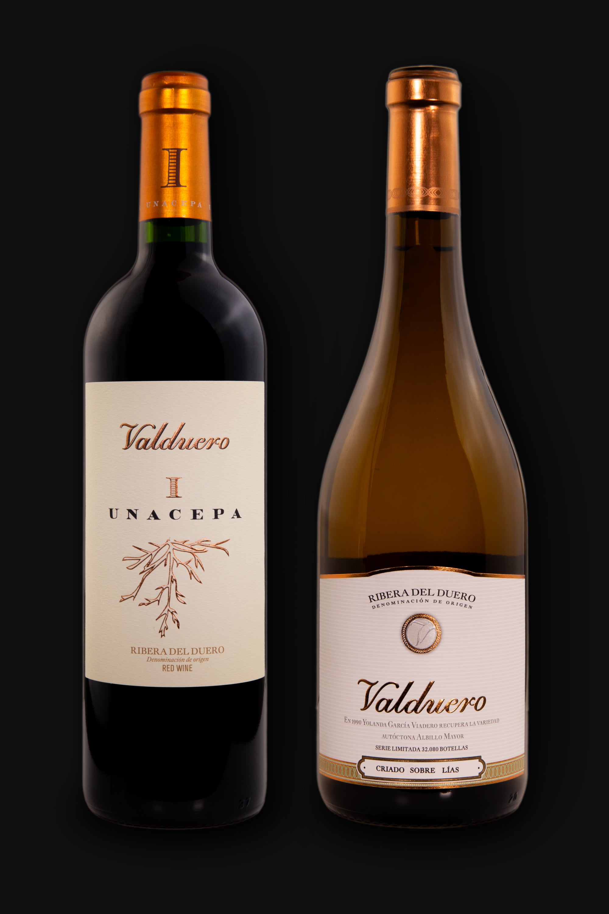 Ensemble Blanco Jeune et Une Souche Valduero