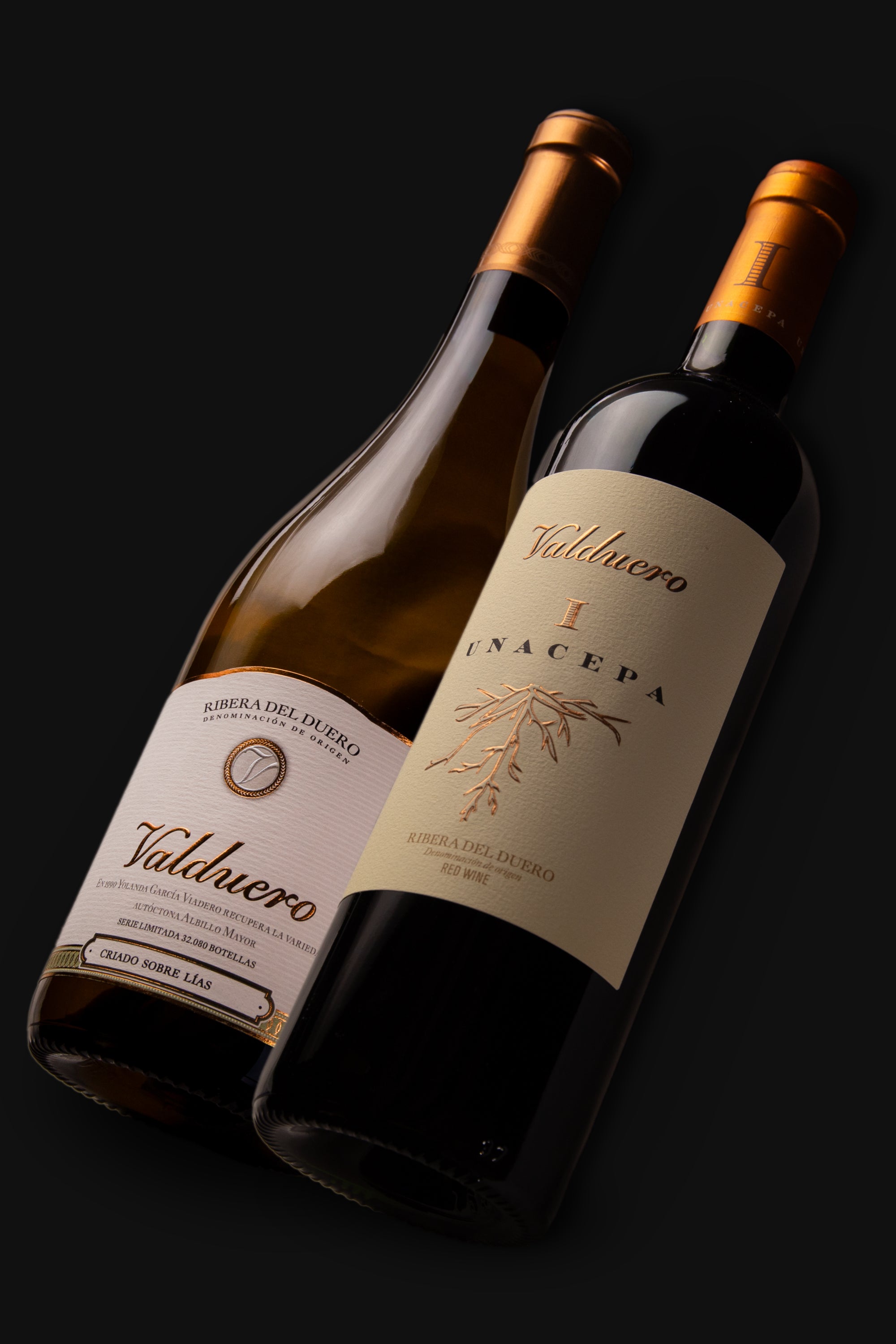 Set Blanco Jóven y Una Cepa Valduero