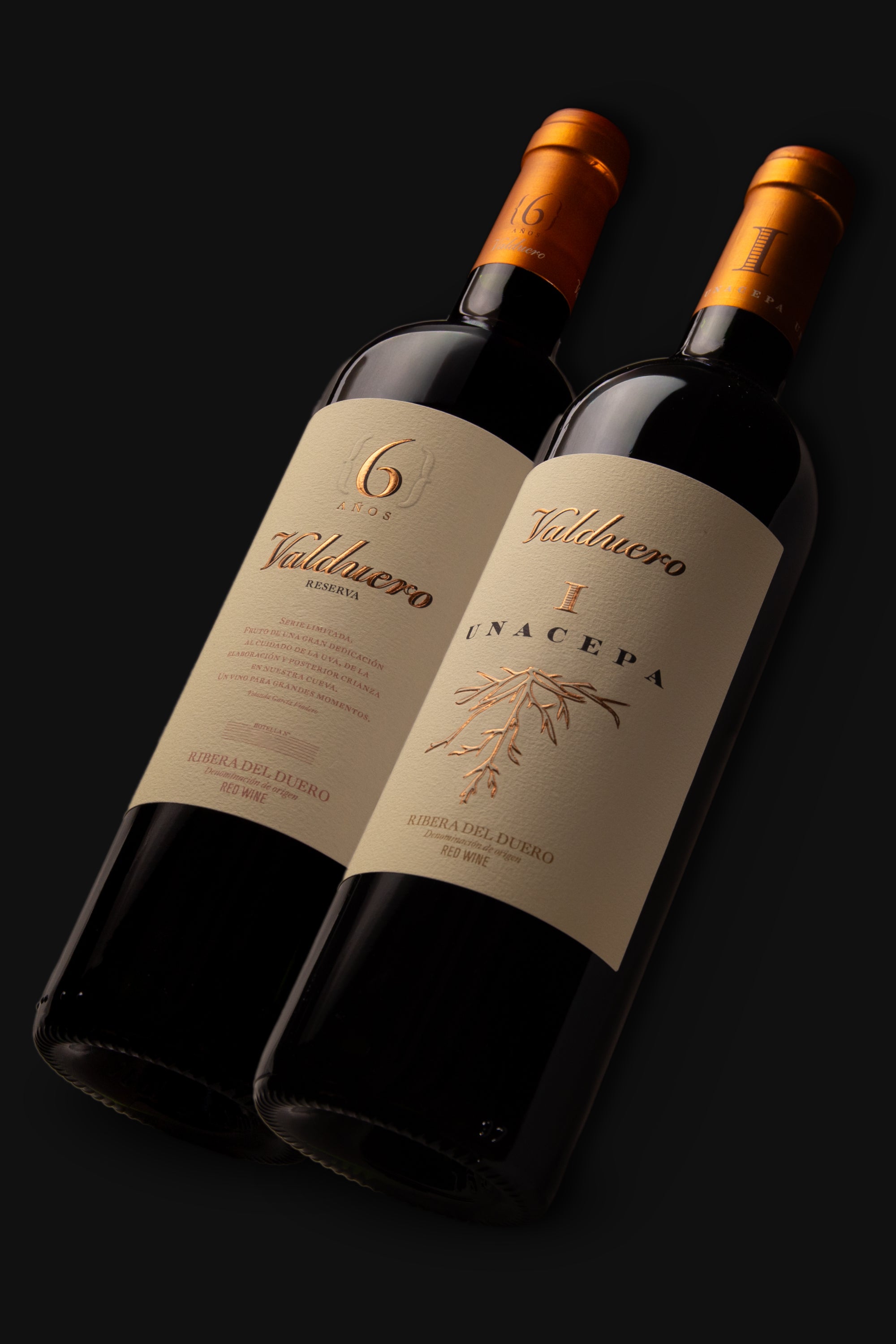 Set Estuche Élite Valduero