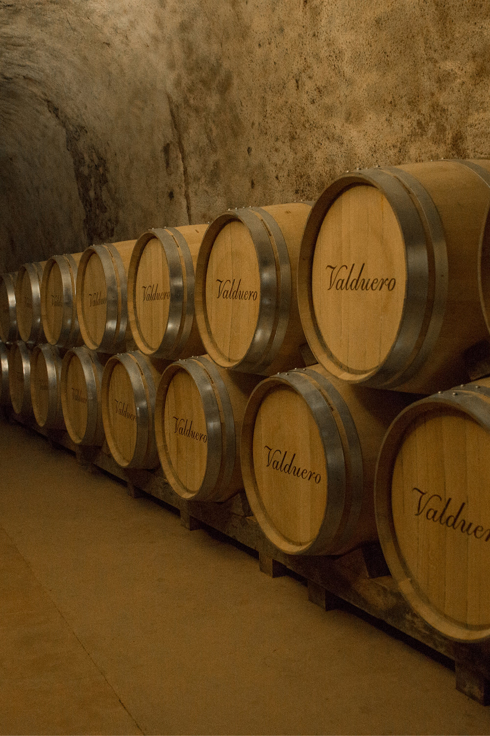 Visita a la Bodega RELAX