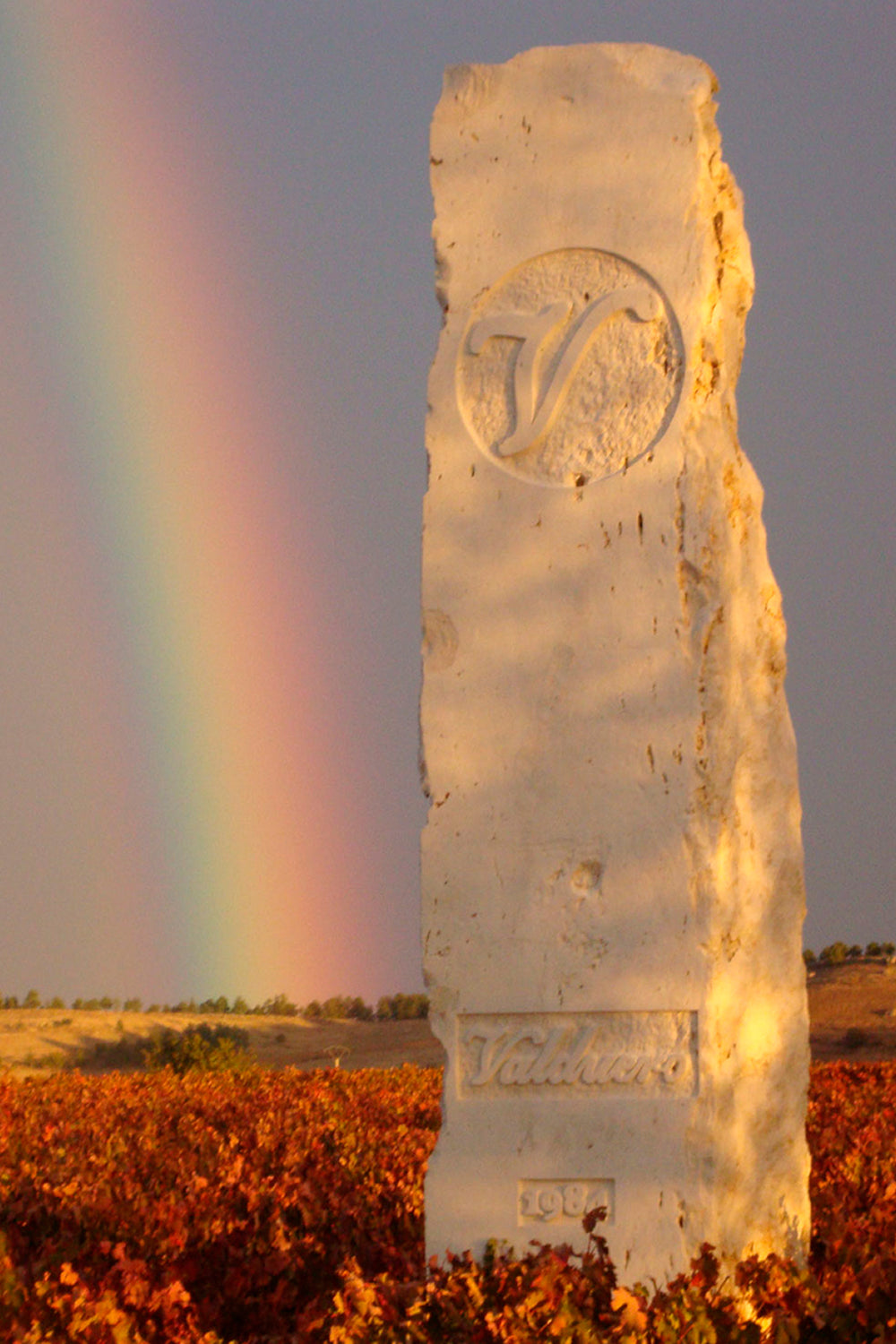 Visita a la Bodega RELAX