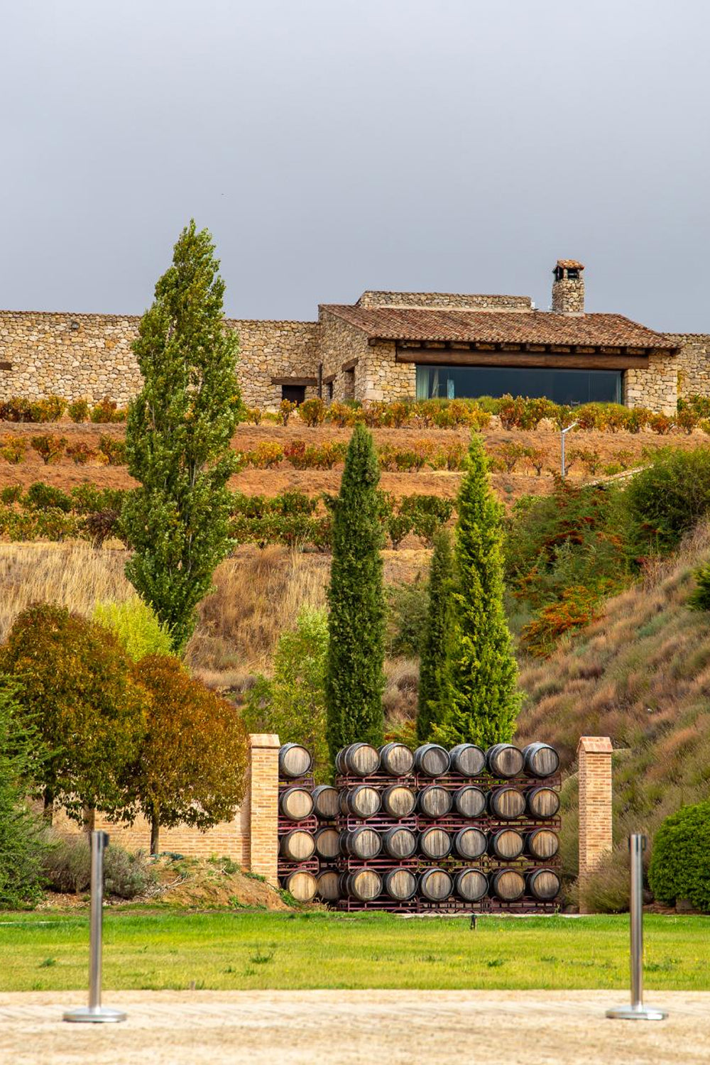 Visita a la Bodega RELAX