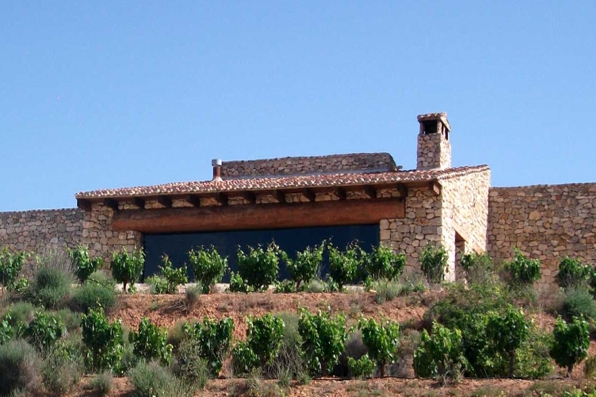 Vinos Ribera del Duero