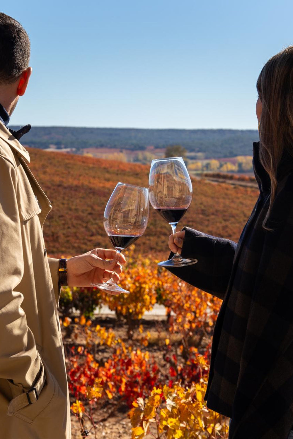 Visita a la Bodega RELAX