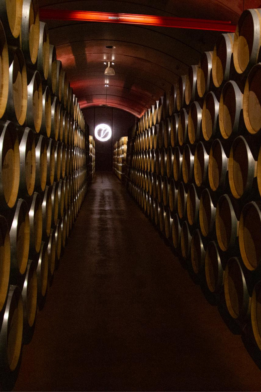 Visita a la Bodega RELAX